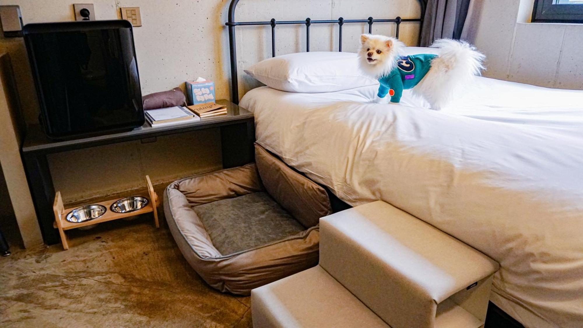 Playce Camp Jeju Hotell Oso-ri Exteriör bild